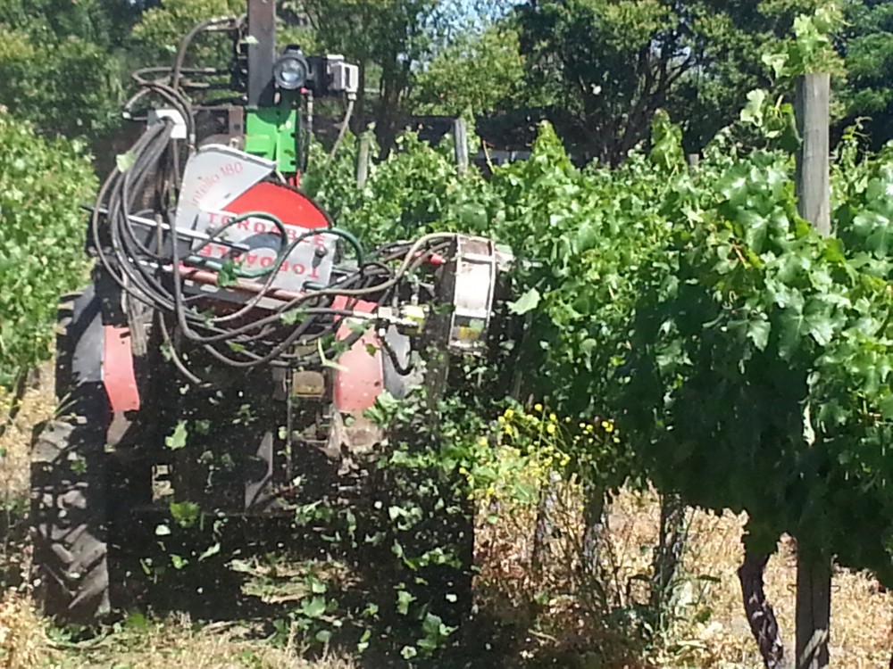 DESHOJADORAS DE VIÑAS
